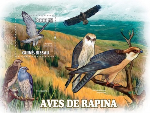 Guinea-Bissau - Raptor Birds Of Prey Mint Stamp S/S GB11204b