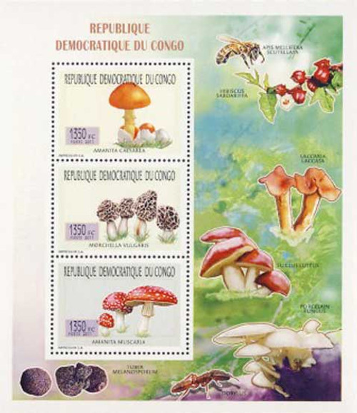 Congo - Mushrooms on Stamps - 3 Stamp Mint Sheet - 3A-350