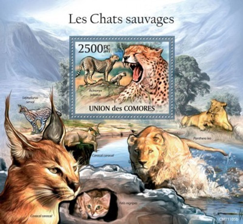 Comoros - Wild Cats Cheetah, Caracal, Lion - Mint Stamp S/S MNH 3E-363