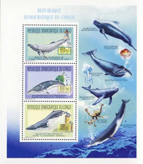 Congo - Whales on Stamps - 3 Stamp Mint Sheet - 3A-354