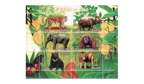 Malawi - Wildlife of Asia - 6 Stamp Mint Sheet 13K-164