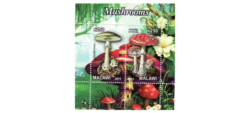 Malawi - Mushrooms - 2 Stamp Mint Sheet MNH 13K-168