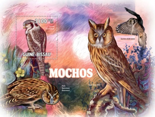 Guinea-Bissau - Owls - Mint Stamp Souvenir Sheet GB11216b