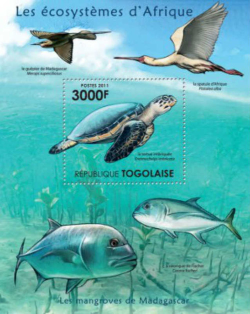 Togo - 2011 Mangroves Forests Fauna - Turtle - Mint Stamp S/S 20H-271