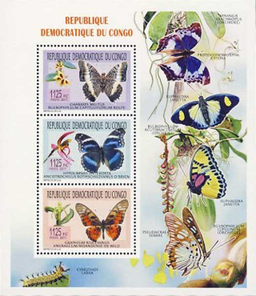Congo - Butterflies on Stamps - 3 Stamps Mint Sheet - 3A-386