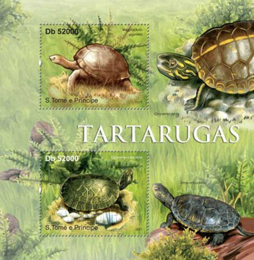 St Thomas - Turtles on Stamps - 2 Stamp Mint Sheet - ST11312a