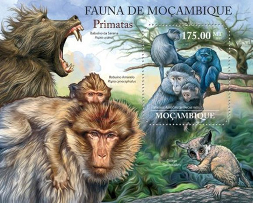 Mozambique - Primate Animals - Mint Stamp Souvenir Sheet 13A-726