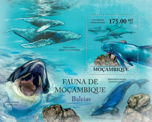 Mozambique - Whales - Mint Stamp Souvenir Sheet 13A-744