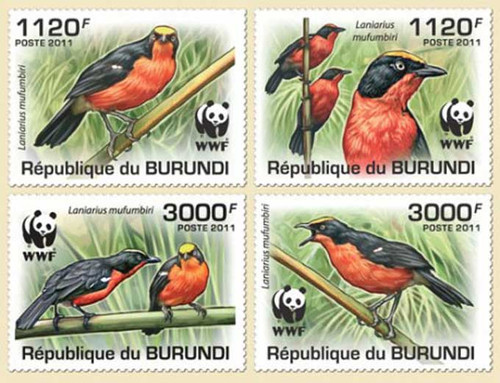 Burundi - WWF & Birds - 4 Stamp Mint Set 2J-118