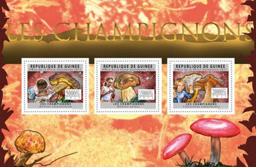 Guinea - Mushrooms - 3 Stamp Mint Sheet - 7B-1635