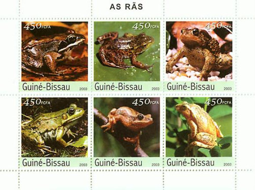 Guinea-Bissau - Frogs On Stamps GB3416