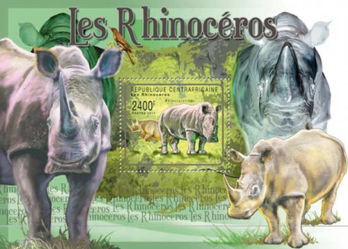 Central Africa - 2011 Rhinoceros - Mint Stamp Souvenir Sheet - 3H-034