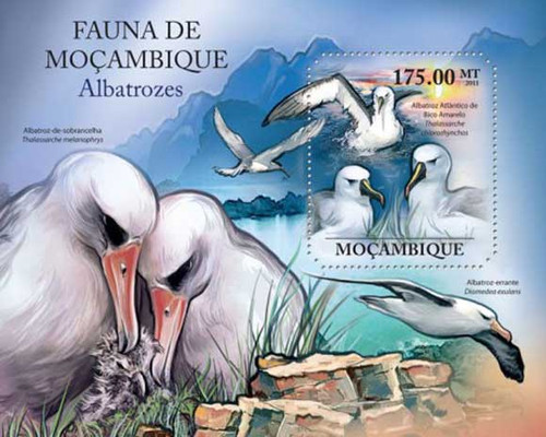 Mozambique - Birds - Mint Stamp Souvenir Sheet 13A-762
