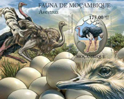 Mozambique - Ostrich Birds - Mint Stamp Souvenir Sheet 13A-770