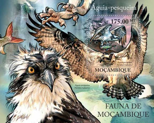 Mozambique - Birds - Mint Stamp Souvenir Sheet 13A-782