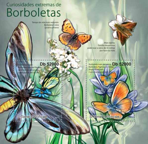 St. Thomas & Prince - Butterflies - 2 Stamp Mint Sheet - ST11324a