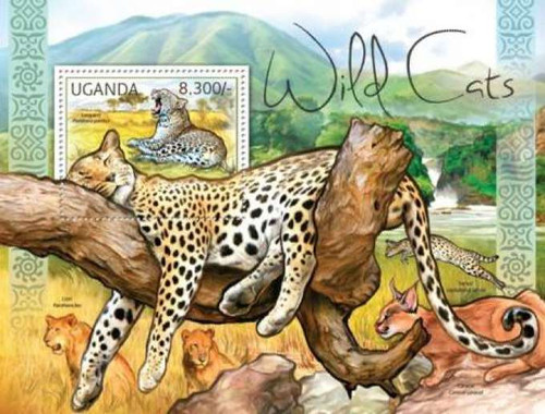 Uganda  African Wild Cats  Leopard, Lion, Caracal, Serval  21D-020