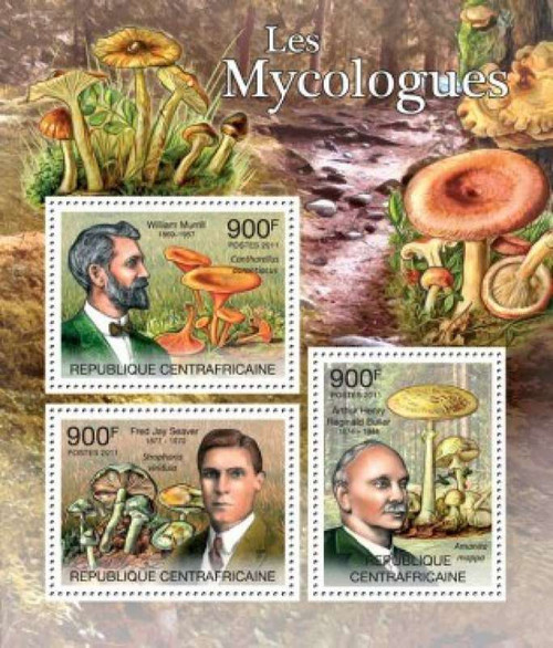 Central African Republic - Mycology & Mushrooms 3 Stamp Sheet 3H-253