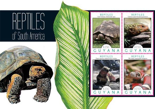 Guyana 2012 Reptiles of South America Tortoise, Lizard, Iguana GUY1204H