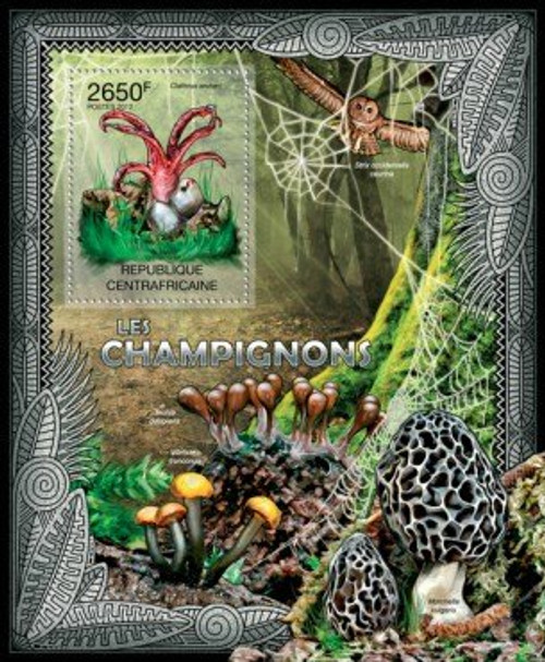 Central African Republic - Fungi & Mushrooms - Souvenir Sheet 3H-290
