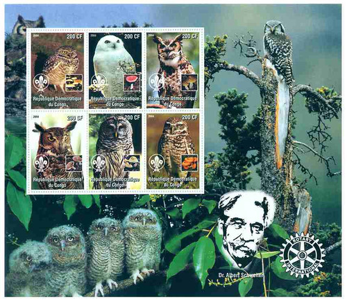 Congo - Owls on Stamps 102-12