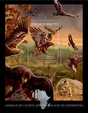Guinea - West African Endangered Golden Eagle - S/S - 7B-1798