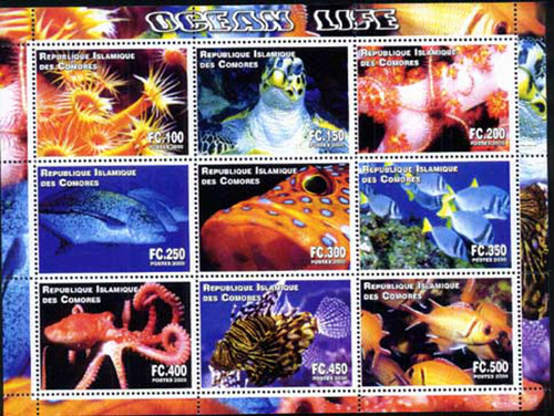 Comoros - 2000 - Ocean Life - 9 Stamp Sheet - N0112-08