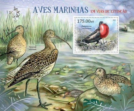 Mozambique - Endangered Sea Birds - Souvenir Sheet - 13A-965