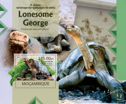 Mozambique - Lonesome George Galapagos Turtle - Stamp Souvenir Sheet 13A-1033