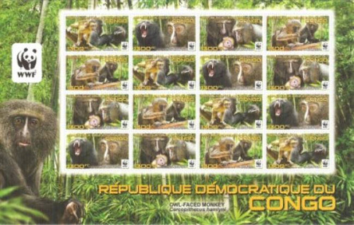 Congo - Owl-Faced Monkey and WWF on Stamps - 16 Stamp Sheet - 3A-397