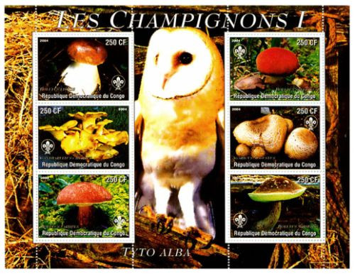 Congo - Mushrooms & Owls On Stamps 107-01-2
