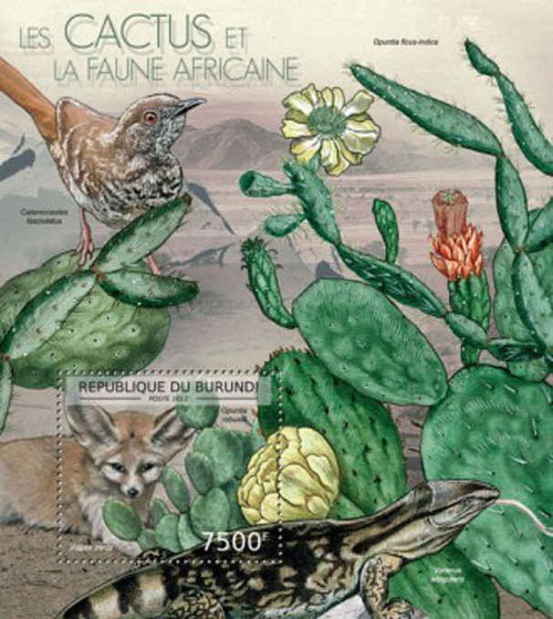 Burundi - African Cacti & Plants - Souvenir Sheet - 2J-409