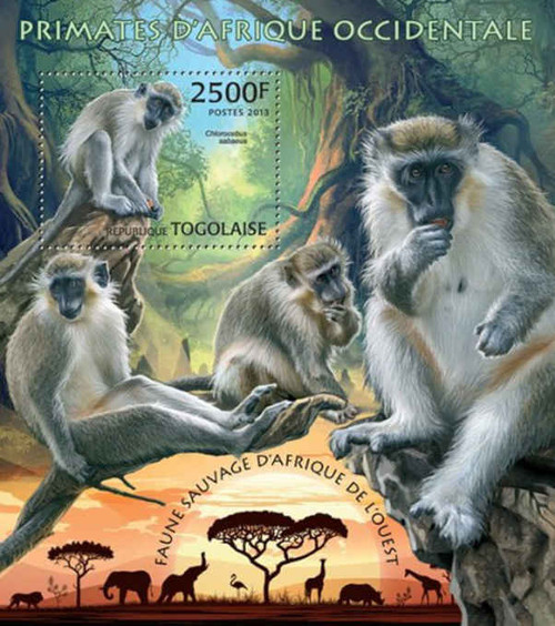 Togo - Primates - Souvenir Sheet - 20H-524