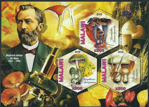 Malawi - Mushrooms & de Bary - 3 Stamp Sheet - 13K-194