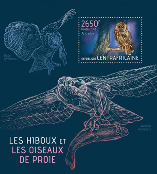 Central Africa - 2013 Owls & Birds Stamps - Mint Stamp S/S - 3H-536