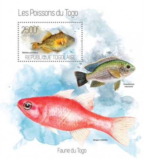 Togo - 2013 Bluespotted Triggerfish - Stamp Souvenir Sheet - 20H-750