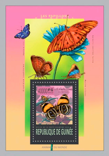 Guinea 2013 Butterflies of Guinea Mint Stamp Souvenir Sheet 7B-2217