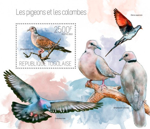 Togo 2013- Doves and Pigeons Stamp Souvenir Sheet 20H-789