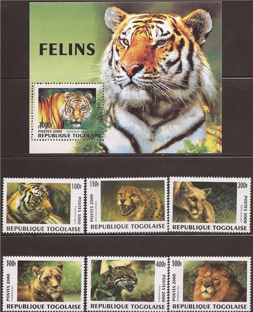 Togo - 2000 Wild Cats - 6 Stamp Set + S/S 20H-799 Scott #1919-25