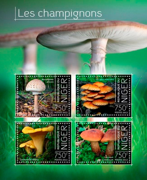 Niger - 2013 Exotic Mushrooms of Africa Mint 4 Stamp Sheet 14A-346