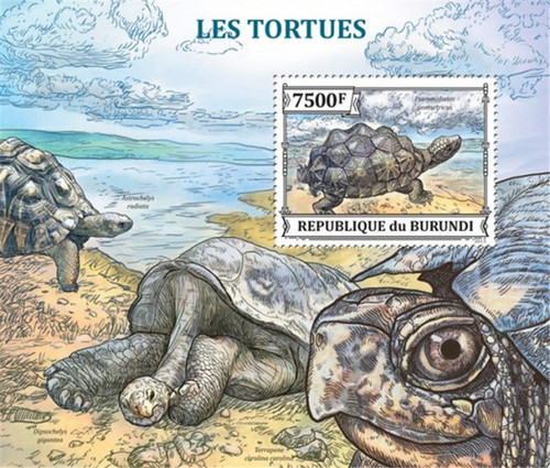Burundi - 2013 Geometric Tortoise - Stamp Souvenir Sheet - 2J-568