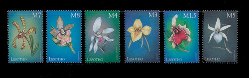 Lesotho 1999 Tropical Orchids - Mint 6 Stamp Set $9.50 12E-021