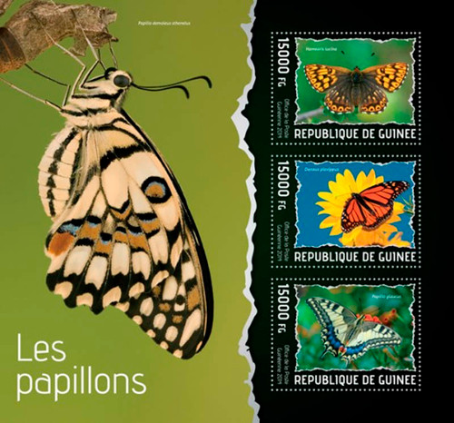 Guinea - 2014 Butterflies of the World Mint 3 Stamp Sheet 7B-2329