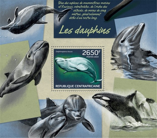 Central Africa - 2014 Dolphins on Stamps - Souvenir Sheet - 3H-662