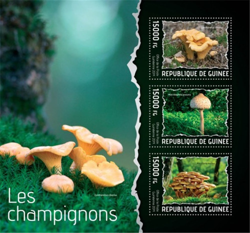 Guinea - 2014 Mushrooms on Stamps - 3 Stamp Sheet - 7B-2353