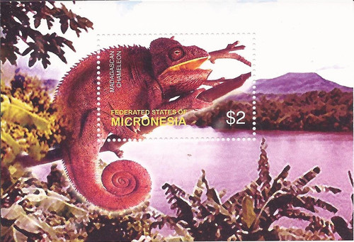 Micronesia 2003 Madagascan Chameleon - Stamp Souvenir Sheet #577