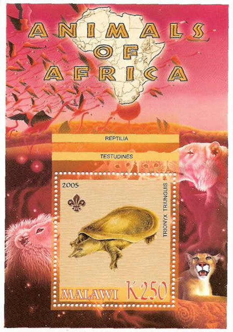 Animals of Africa - Turtles on Stamps M0971