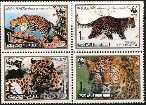 Korea - Panthers on Stamps, WWF 4 Stamp Mint Block - 11E-021