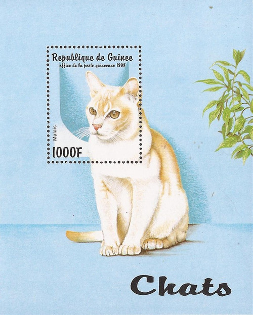 Guinea - 1998 Domestic Cat - Stamp Souvenir Sheet - Scott #1437