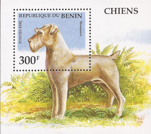 Benin - 1995 Shnauzer Dog - Stamp Souvenir Sheet - Scott #747 